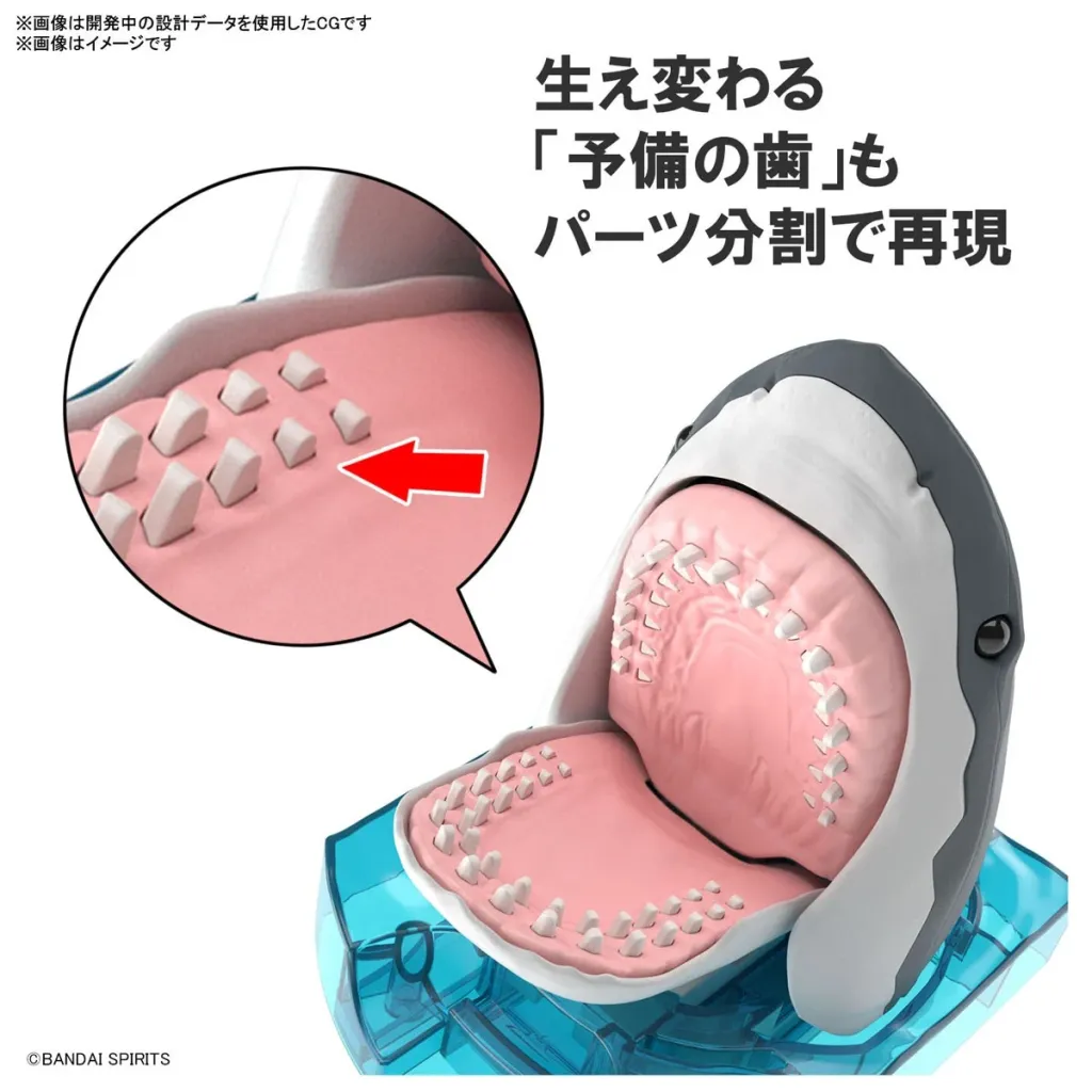 EXPLORING LAB NATURE - Great White Shark - Model Kit